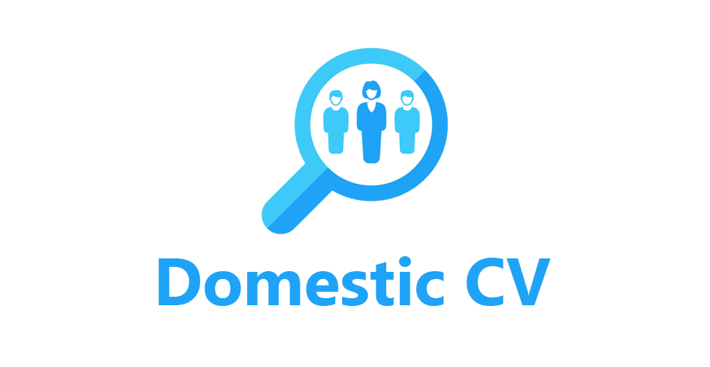 Designer Domestic CV